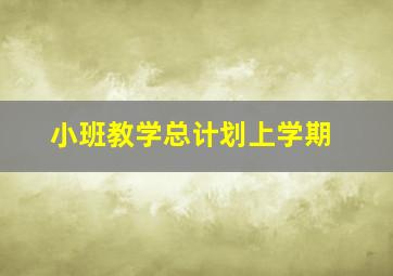 小班教学总计划上学期