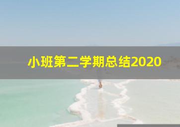 小班第二学期总结2020