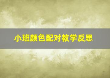 小班颜色配对教学反思