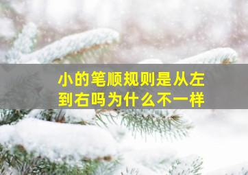 小的笔顺规则是从左到右吗为什么不一样