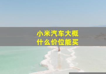 小米汽车大概什么价位能买