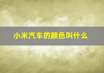 小米汽车的颜色叫什么