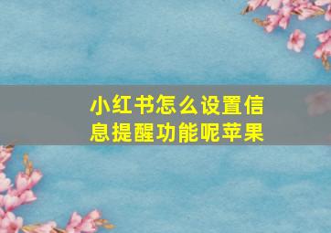 小红书怎么设置信息提醒功能呢苹果