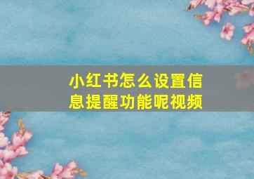 小红书怎么设置信息提醒功能呢视频