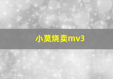 小莫烧卖mv3