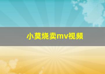 小莫烧卖mv视频