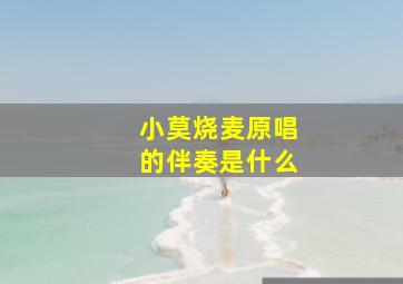 小莫烧麦原唱的伴奏是什么