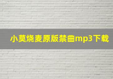 小莫烧麦原版禁曲mp3下载