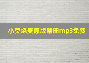 小莫烧麦原版禁曲mp3免费