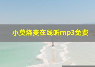 小莫烧麦在线听mp3免费