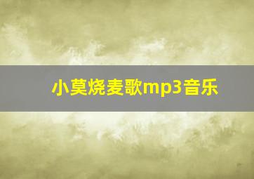 小莫烧麦歌mp3音乐