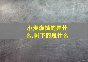 小麦烧掉的是什么,剩下的是什么