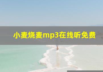 小麦烧麦mp3在线听免费