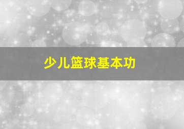 少儿篮球基本功