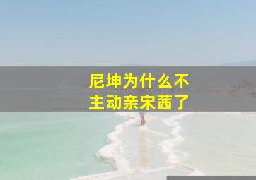 尼坤为什么不主动亲宋茜了