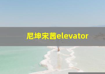 尼坤宋茜elevator