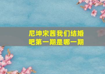 尼坤宋茜我们结婚吧第一期是哪一期