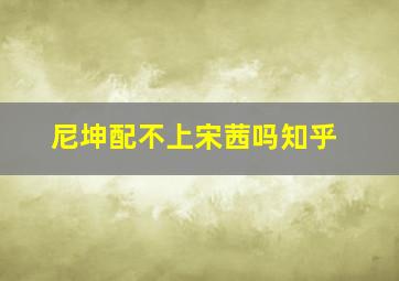 尼坤配不上宋茜吗知乎