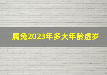 属兔2023年多大年龄虚岁