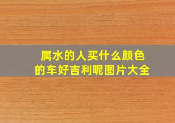 属水的人买什么颜色的车好吉利呢图片大全