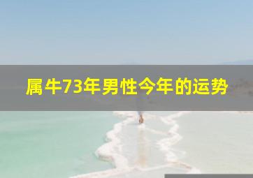 属牛73年男性今年的运势