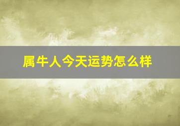 属牛人今天运势怎么样