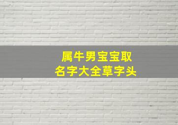 属牛男宝宝取名字大全草字头