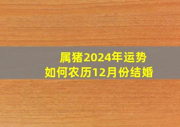 属猪2024年运势如何农历12月份结婚