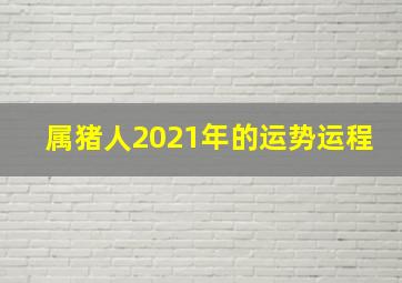 属猪人2021年的运势运程