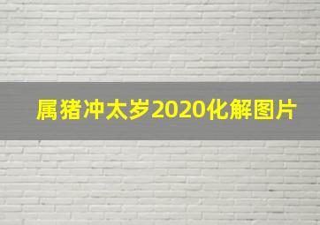 属猪冲太岁2020化解图片