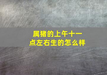 属猪的上午十一点左右生的怎么样