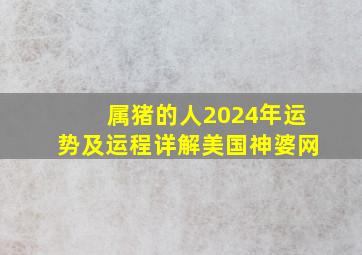 属猪的人2024年运势及运程详解美国神婆网