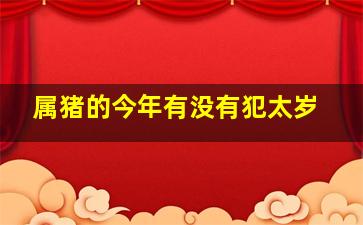 属猪的今年有没有犯太岁