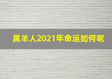 属羊人2021年命运如何呢