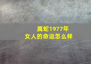 属蛇1977年女人的命运怎么样