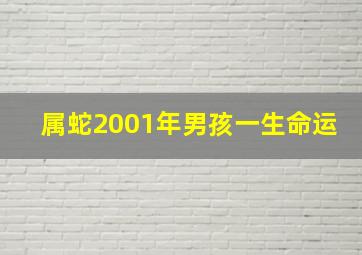 属蛇2001年男孩一生命运