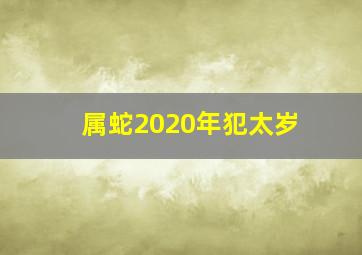 属蛇2020年犯太岁