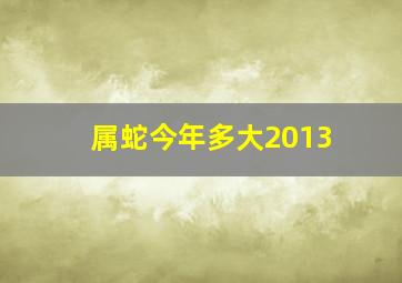 属蛇今年多大2013