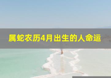 属蛇农历4月出生的人命运