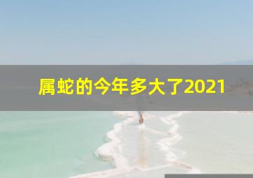 属蛇的今年多大了2021