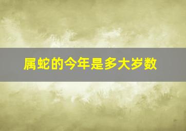 属蛇的今年是多大岁数