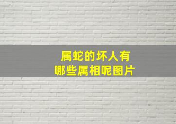 属蛇的坏人有哪些属相呢图片