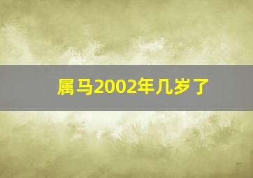 属马2002年几岁了