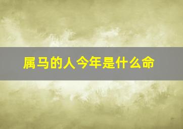 属马的人今年是什么命