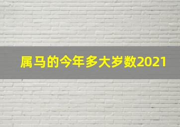 属马的今年多大岁数2021