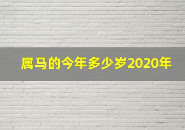 属马的今年多少岁2020年