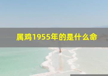 属鸡1955年的是什么命