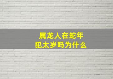 属龙人在蛇年犯太岁吗为什么