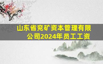 山东省兖矿资本管理有限公司2024年员工工资