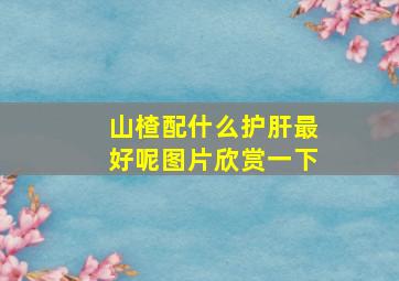 山楂配什么护肝最好呢图片欣赏一下